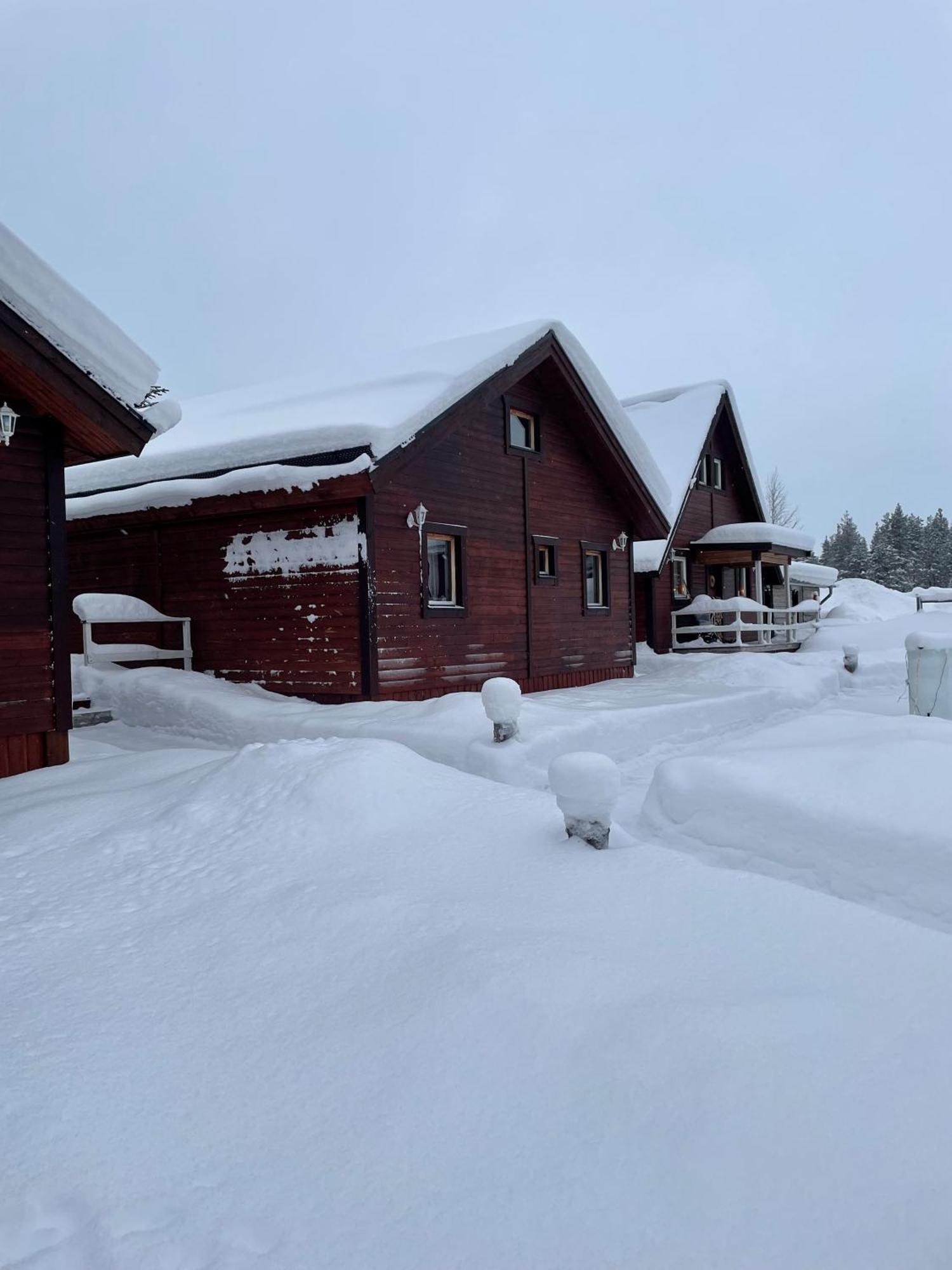 Skogen-Lodge Koskullskulle Luaran gambar